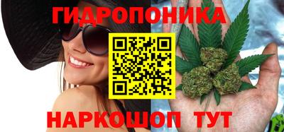 дурь Ачхой-Мартан