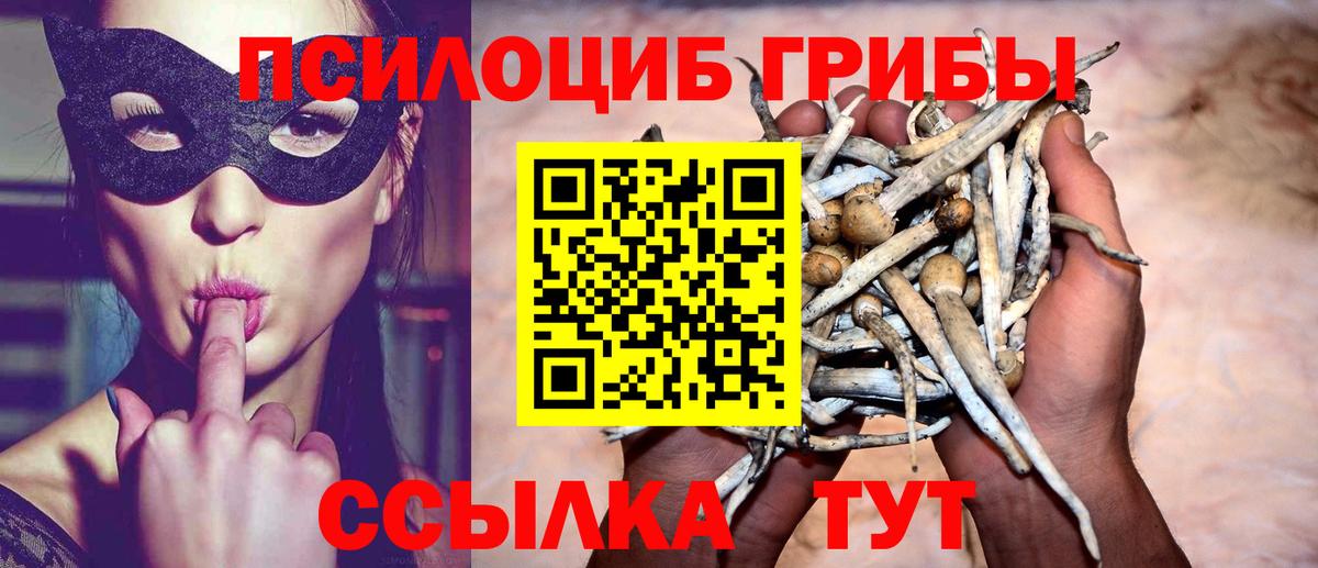 Галлюциногенные грибы Cubensis Дедовск