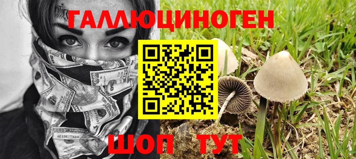 Галлюциногенные грибы мицелий  Вход с VPN  Дедовск  Галлюциногенные грибы Magic Shrooms 